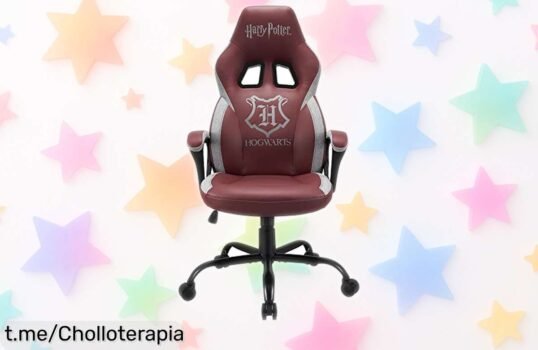 Silla gaming roja Harry Potter diseño exclusivo, ajuste profesional. ¡Rebaja increíble para que tus partidas tengan todo el flow! Aprovecha esta oferta limitada y dale estilo a tu setup ya mismo.