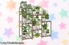 Soporte escalonado para plantas Bamworld, dale un toque de lujo a tu hogar con este super chollo que dejará tus plantas organizadas ¡No te lo pierdas o se escapará!