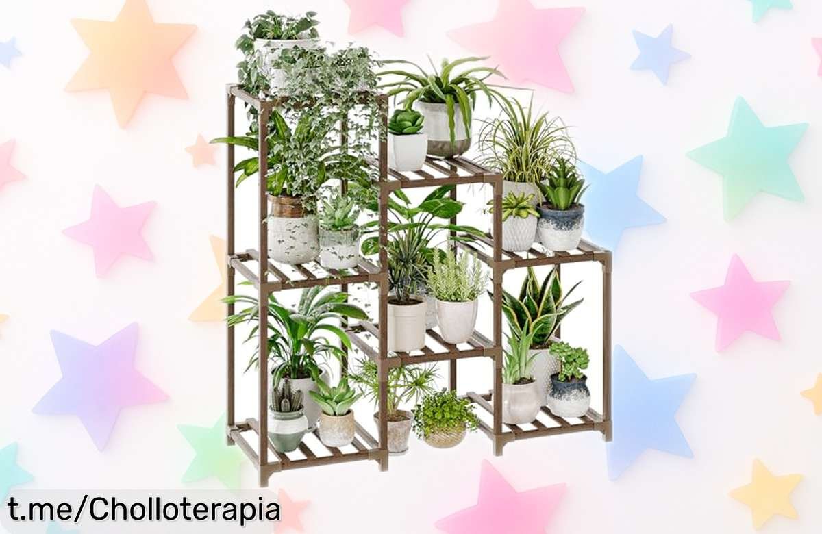 Soporte escalonado para plantas Bamworld, dale un toque de lujo a tu hogar con este super chollo que dejará tus plantas organizadas ¡No te lo pierdas o se escapará!