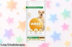 Sorprendente alimento seco IAMS para perros grandes, ahora a precio rebajado: dale a tu peludo la salud y energía que se merece ¡No te lo pierdas!