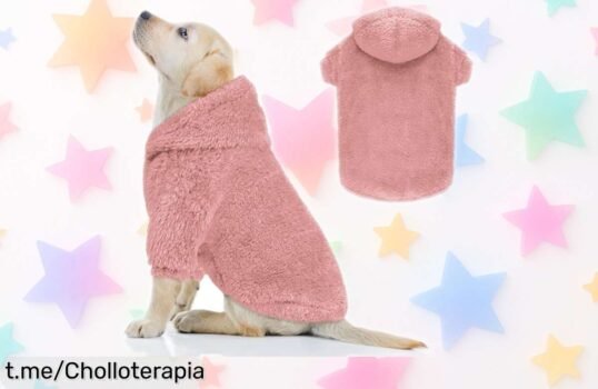 Sudadera con capucha para perros grandes, suave y calentita. ¡Precio rebajado que no volverás a ver! Dale una sonrisa a tu peludo antes de que se acaben las unidades.