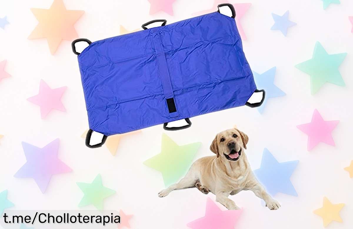 Transportín plegable súper resistente para perros de hasta 60 kg, ahora a precio rebajado: ¡haz que tus paseos y emergencias sean un juego de niños!