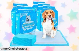 Alfombrillas absorbentes Edipets para perros, 100 unidades que mantienen seco a tu peludo: ¡super chollo por tiempo limitado!