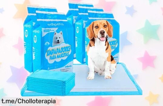 Alfombrillas absorbentes Edipets para perros, 100 unidades que mantienen seco a tu peludo: ¡super chollo por tiempo limitado!