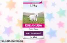 Alimento seco Eukanuba para perros con piel sensible a precio rebajado, ¡ofertón limitado que cuida su salud y hace feliz a tu mejor amigo!