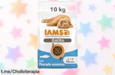 Alimento seco para gatitos junior con pescado azul y nutrientes top a precio rebajado, ¡tu pequeño cazador merece crecer fuerte y feliz! No dejes escapar esta oferta única.