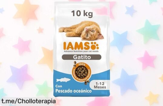 Alimento seco para gatitos junior con pescado azul y nutrientes top a precio rebajado, ¡tu pequeño cazador merece crecer fuerte y feliz! No dejes escapar esta oferta única.