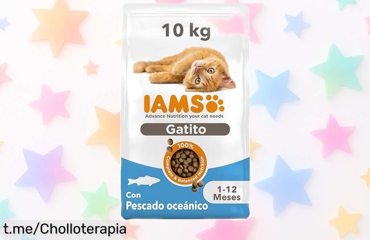 Alimento seco para gatitos junior con pescado azul y nutrientes top a precio rebajado, ¡tu pequeño cazador merece crecer fuerte y feliz! No dejes escapar esta oferta única.