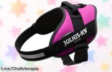 Arnés potente JuliusK9 para control total en paseos, ahora a un precio rebajadísimo que no puedes dejar escapar. ¡Tu perro se lo merece y esta oferta vuela!
