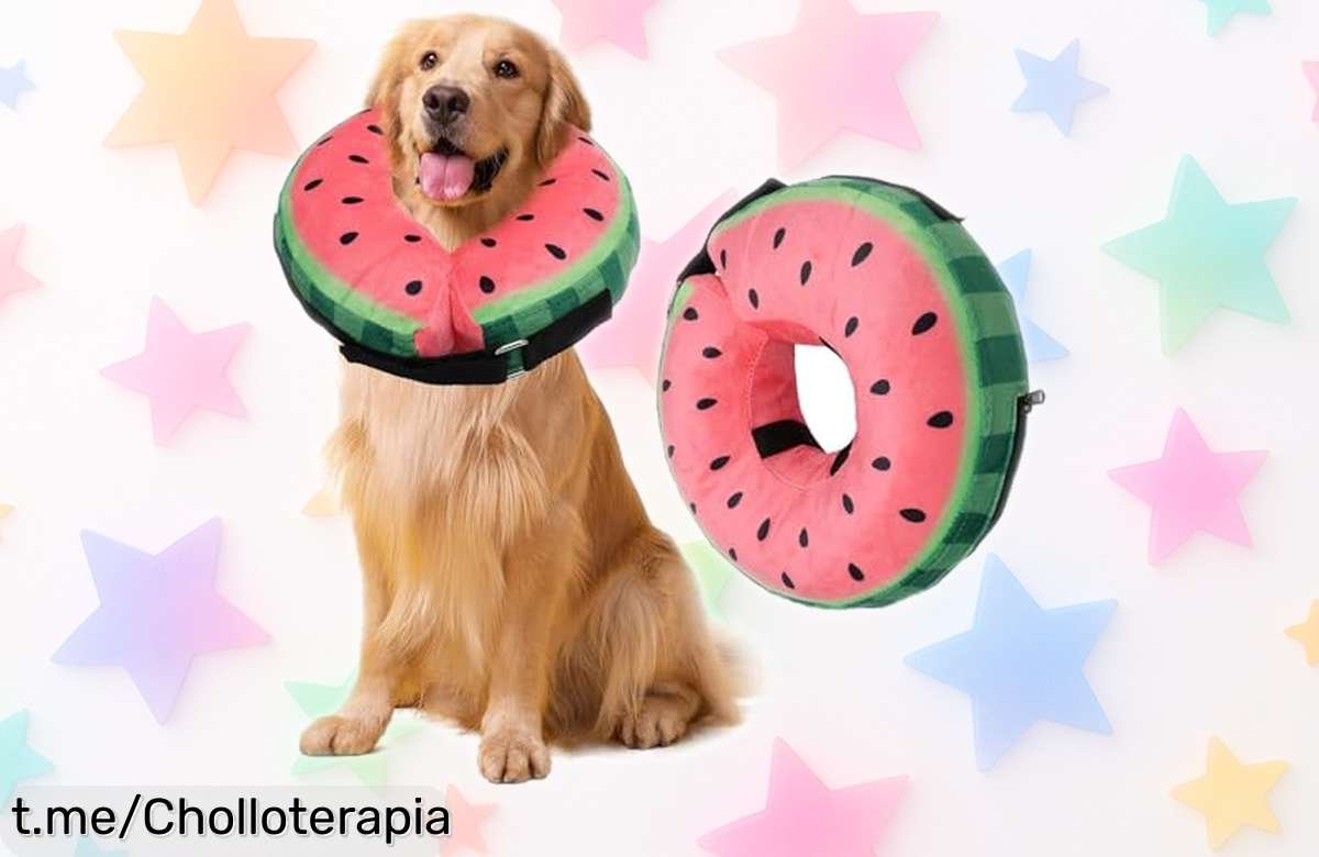 Collar inflable para perro, suave y divertido, rebajado para su recuperación. No pierdas este super chollo y dale la mejor protección a tu peludo amigo ya mismo.