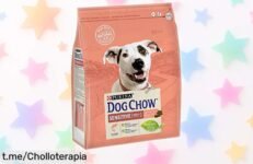 Delicioso pienso para perro adulto con salmón Purina Dog Chow, ideal para digestión sensible. Aprovecha este súper chollo en pack de 4 bolsas y dale a tu peludo lo que merece ¡No te quedes sin él!