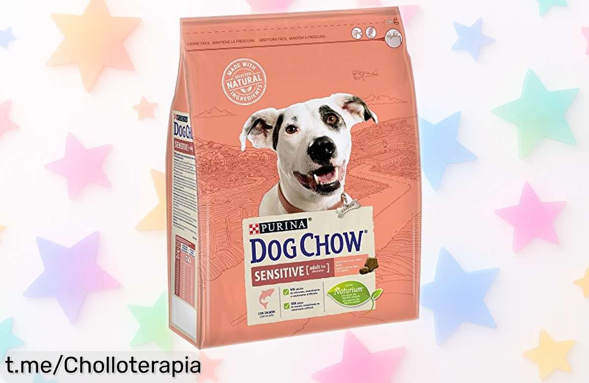 Delicioso pienso para perro adulto con salmón Purina Dog Chow, ideal para digestión sensible. Aprovecha este súper chollo en pack de 4 bolsas y dale a tu peludo lo que merece ¡No te quedes sin él!
