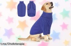 Jersey XL Queenmore para perro con cuello alto a precio rebajado, dale a tu peludo la calidez que merece y haz su invierno espectacular. ¡Compra ya antes de que se acabe!