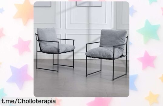 Juego de 2 sillas de comedor gris, diseño moderno y súper resistente que eleva tu hogar a precio rebajado. ¡No las dejes escapar antes de que se agoten!