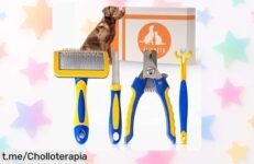 Kit 4 en 1 para perros y gatos: ¡imprescindible rebajado que cuida a tu peludo con materiales resistentes! No te lo pierdas, es su momento de brillar.
