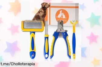 Kit 4 en 1 para perros y gatos: ¡imprescindible rebajado que cuida a tu peludo con materiales resistentes! No te lo pierdas, es su momento de brillar.