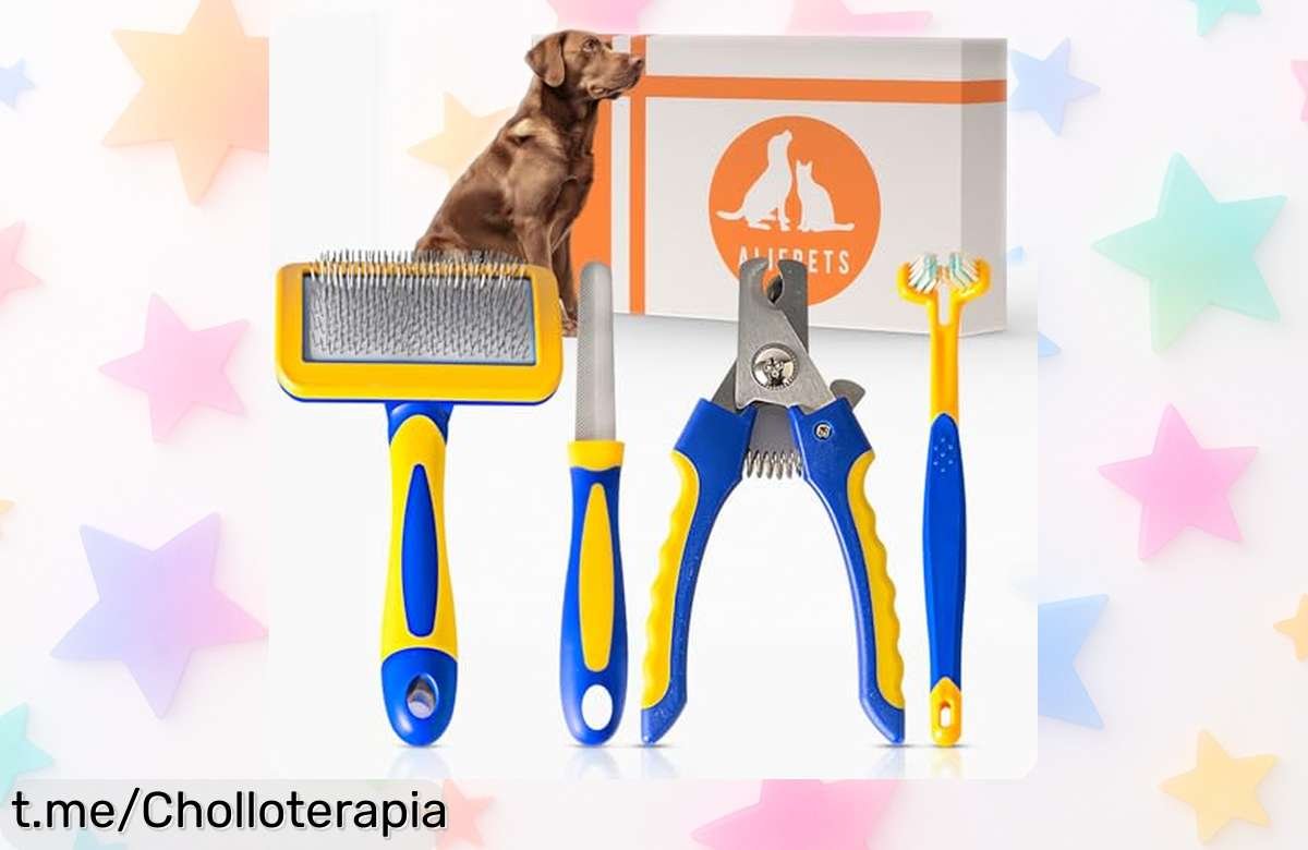 Kit 4 en 1 para perros y gatos: ¡imprescindible rebajado que cuida a tu peludo con materiales resistentes! No te lo pierdas, es su momento de brillar.