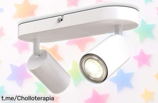 Lámpara de techo B.K.Licht con 2 luces orientables, ¡rebajada a un precio loco! Dale estilo y vida a tu hogar, no te quedes sin la tuya antes que sea tarde.