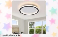 Lámpara de techo LED Schindora dimmable, luz suave y ajustable para el hogar: ¡aprovecha esta oferta rebajada y transforma tus momentos en algo brillante!