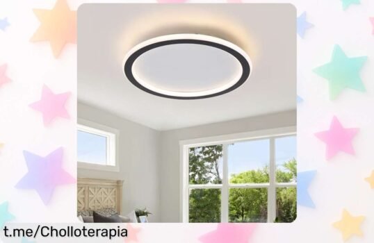 Lámpara de techo LED Schindora dimmable, luz suave y ajustable para el hogar: ¡aprovecha esta oferta rebajada y transforma tus momentos en algo brillante!
