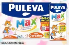 Leche de crecimiento Puleva Max pack 6 x 1Lt, la oferta rebajada que tus peques necesitan para estar fuertes y despiertos ¡No te quedes sin energía y mente sana para ellos!