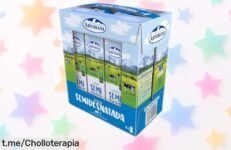 Leche semidesnatada Central Lechera Asturiana en pack de 6L a precio rebajado, un super chollo para darle fuerza a tus días. ¡Aprovecha ahora y no te quedes sin energía!