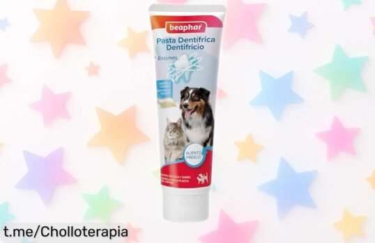 Pasta dental enzimática Beaphar para perros y gatos, combate placa y sarro ¡aprovecha esta oferta rebajadísima y haz que tu mascota sonría con salud ya!