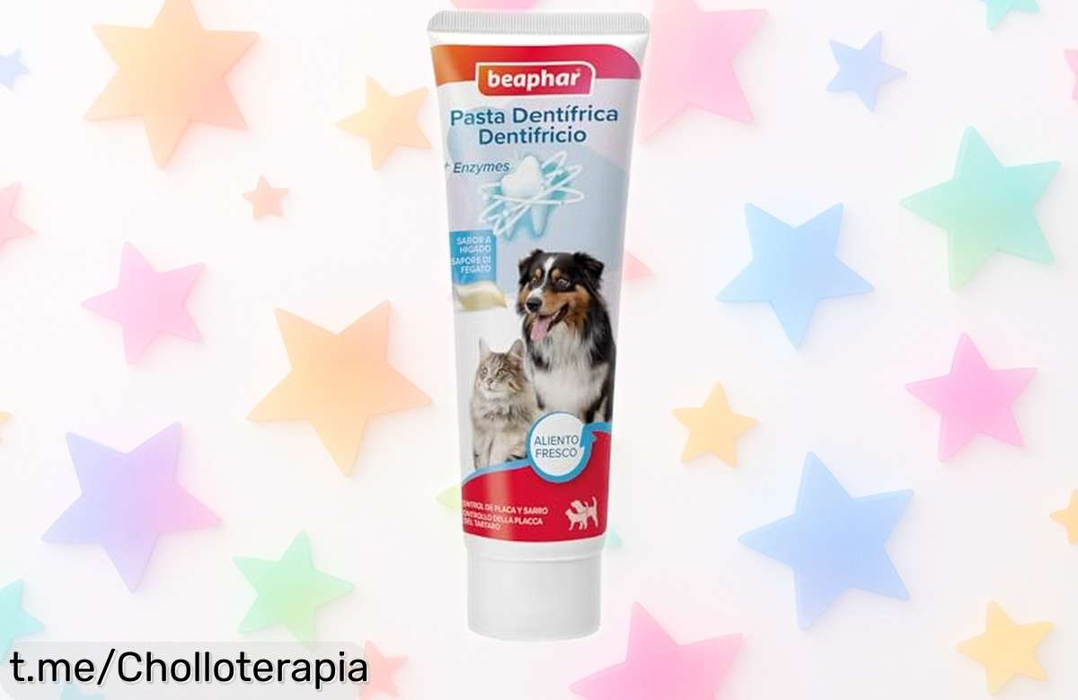 Pasta dental enzimática Beaphar para perros y gatos, combate placa y sarro ¡aprovecha esta oferta rebajadísima y haz que tu mascota sonría con salud ya!