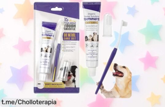 Set de 3 cepillos para dientes de perro con pasta sabor ternera a un precio loco, oferta limitada que hará feliz a tu mascota ¡Aprovecha este chollo y cuida su sonrisa!