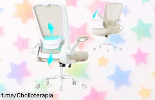 Silla de oficina SONGMICS con soporte lumbar y brazos plegables: super chollo a precio loco para que cuides tu espalda, ¡no te quedes sin ella y siéntete genial hoy!