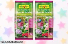 Substrato para plantas ácidas con guano y abono, ¡super chollo que transformará tu jardín! Aprovecha el precio rebajado por tiempo limitado y embellece tus flores ya.