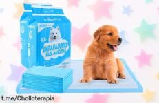 Alfombrillas absorbentes para perros Edipets: gran chollo rebajado, olvídate de los líos y mantenlo feliz. ¡No dejes pasar esta oferta limitada que hará sonreír a tu peludo!