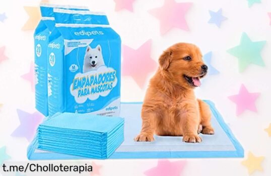 Alfombrillas absorbentes para perros Edipets: gran chollo rebajado, olvídate de los líos y mantenlo feliz. ¡No dejes pasar esta oferta limitada que hará sonreír a tu peludo!