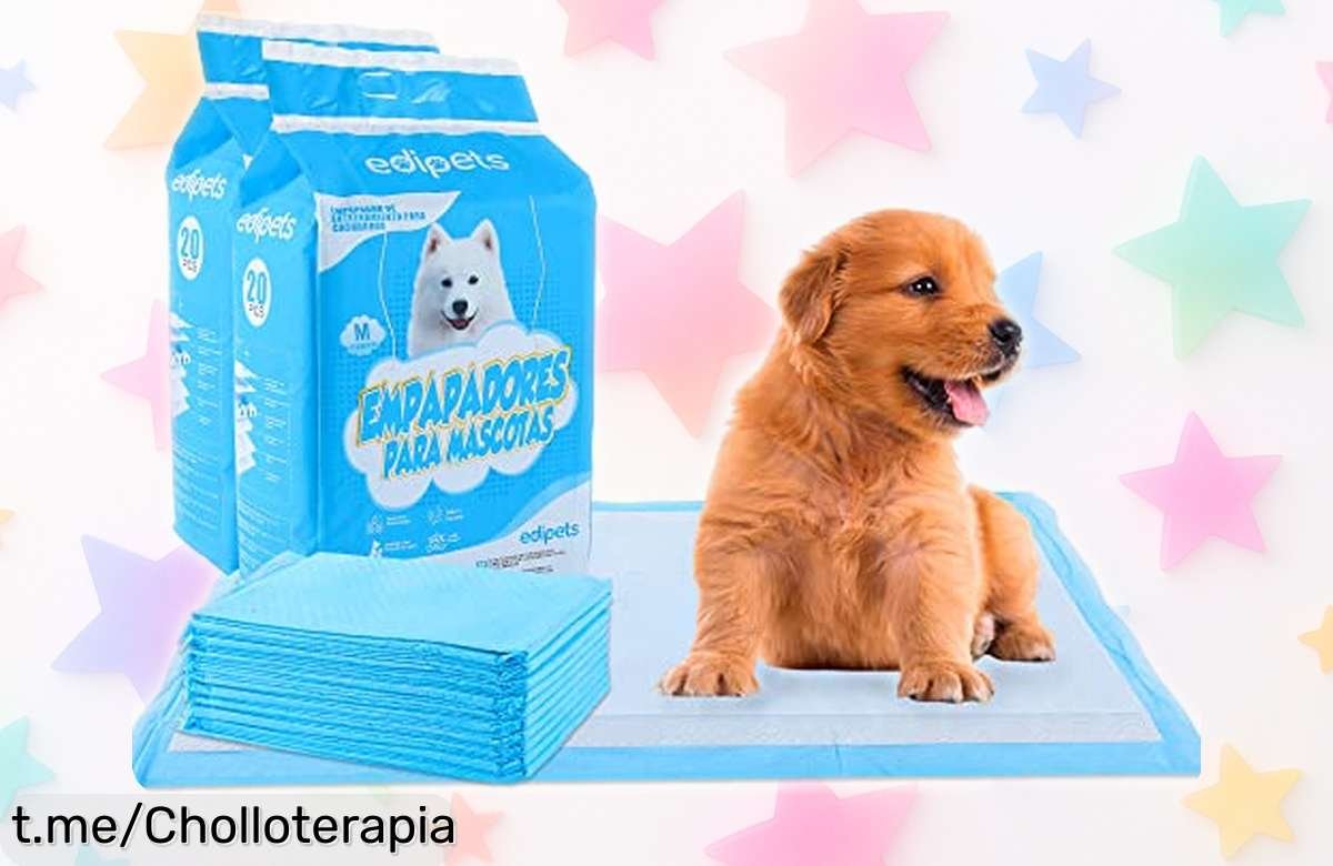 Alfombrillas absorbentes para perros Edipets: gran chollo rebajado, olvídate de los líos y mantenlo feliz. ¡No dejes pasar esta oferta limitada que hará sonreír a tu peludo!