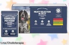 Alimento completo para perros sénior by Amazon, 48 bolsitas premium a precio rebajado ¡El super chollo perfecto para cuidar de tu peludo y hacerle feliz!