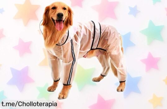 Chubasquero impermeable para perros de todos los tamaños que lo mantendrá seco y seguro, ¡ofertón a precio ridículo! No dejes fuera a tu peludo en el chaparrón.