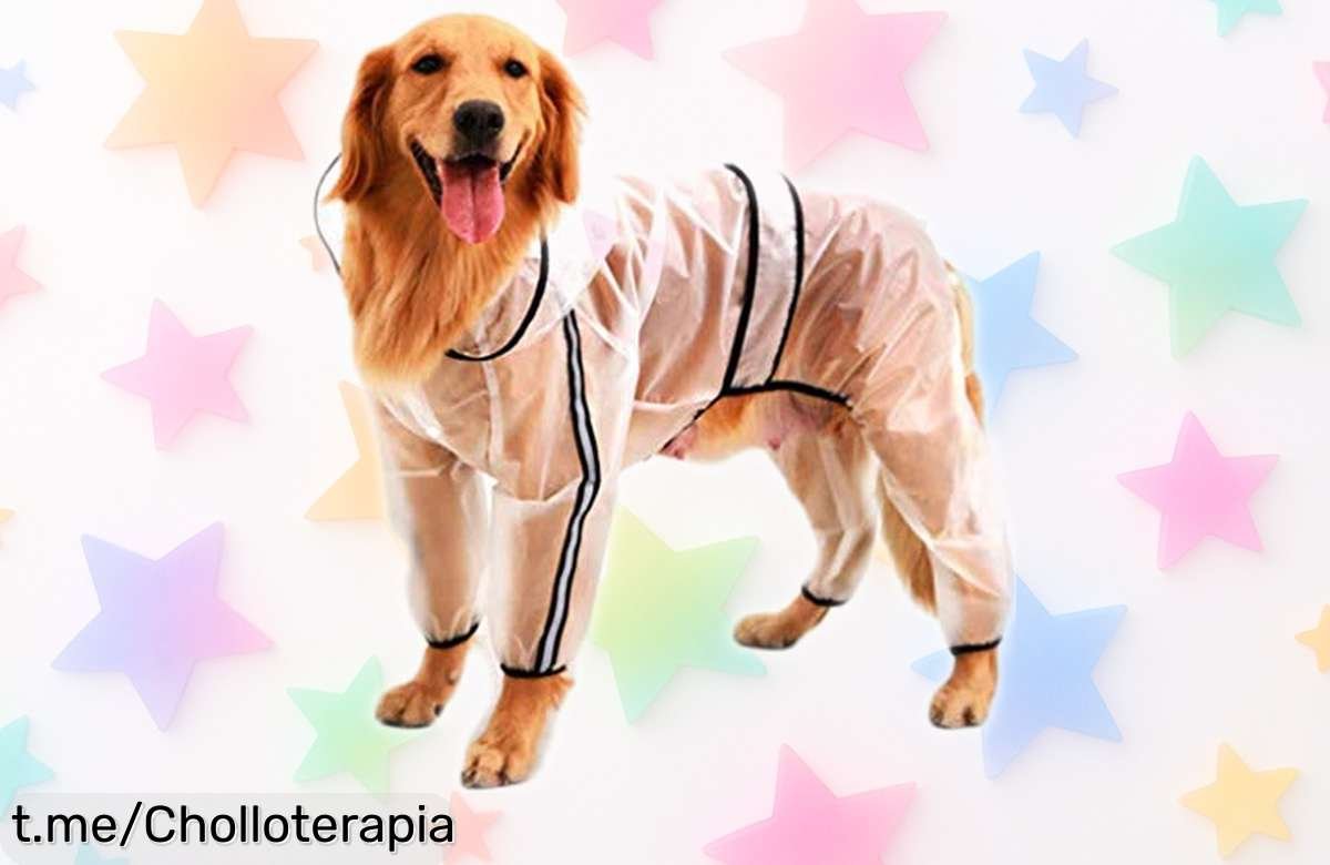 Chubasquero impermeable para perros de todos los tamaños que lo mantendrá seco y seguro, ¡ofertón a precio ridículo! No dejes fuera a tu peludo en el chaparrón.