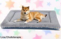 Colchón doble cara para perros y gatos IEEUMLER FC014, súper chollo que acaba de bajar de precio: ¡Mima a tu peludo y llévale felicidad ya antes de que desaparezca!