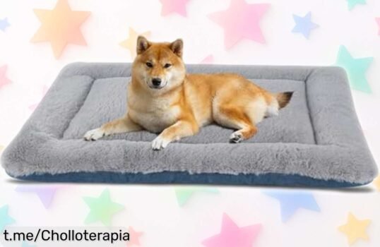 Colchón doble cara para perros y gatos IEEUMLER FC014, súper chollo que acaba de bajar de precio: ¡Mima a tu peludo y llévale felicidad ya antes de que desaparezca!