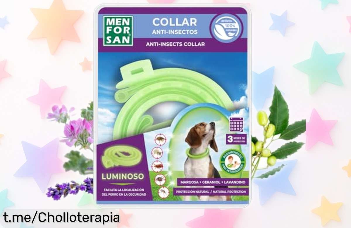 Colgante luminiscente antiinsectos Menforsan: repelentes naturales y brillante ajuste, ¡oferta única a precio rebajado! Protege a tu perro y relájate en cada paseo.