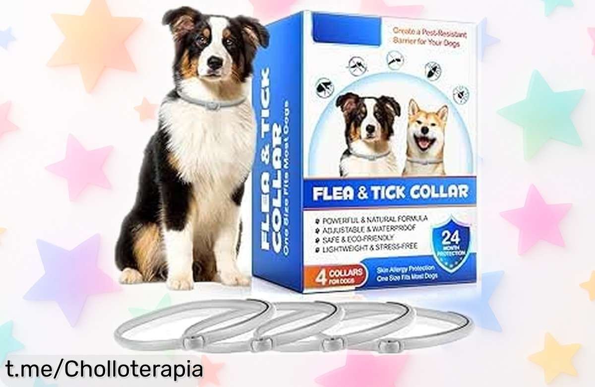 Collar antiparasitario para perros de 4 piezas, ¡ahora a un precio loco! Protege a tu mejor amigo del mal tiempo y los parásitos con una oferta que no querrás dejar escapar.