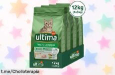 Comida para gatos Tracto Urinario con pollo de 10kg a precio rebajado, un super chollo que tu peludo agradecerá, ¡no te lo pienses y mímalo ya!