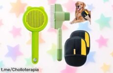 Descubre el cepillo Fellblitz 4 en 1 con autolimpieza que arrasa, olvídate del pelo muerto y mima a tu gato. Aprovecha este ofertón ¡no dejes pasar la oportunidad!