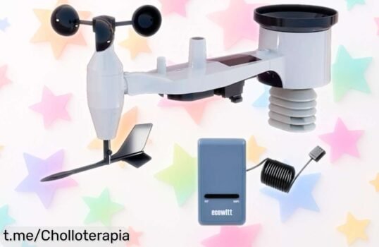 Estación meteorológica 7 en 1 Ecowitt GW1101, controla el clima desde tu móvil y conecta hasta 8 sensores. ¡Aprovecha este super chollo para cuidar tu jardín ya!