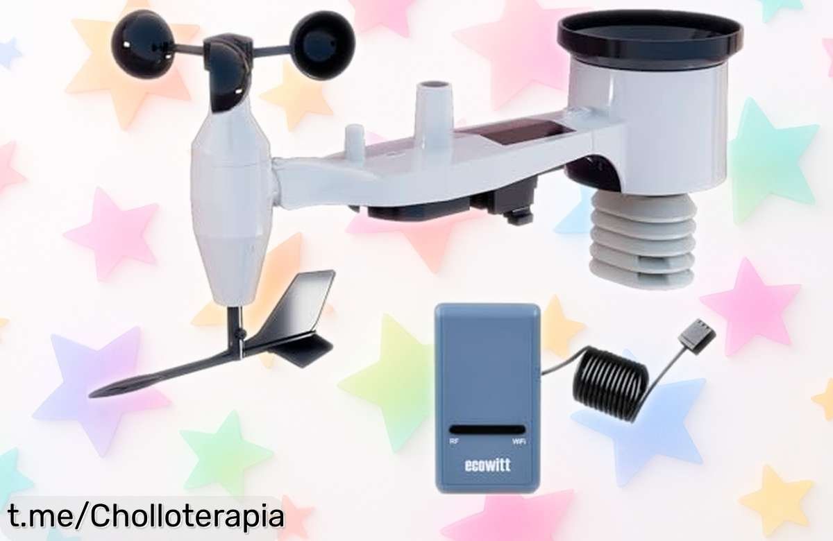 Estación meteorológica 7 en 1 Ecowitt GW1101, controla el clima desde tu móvil y conecta hasta 8 sensores. ¡Aprovecha este super chollo para cuidar tu jardín ya!