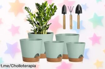 Juego de 5 macetas para flores con auto riego y drenaje perfecto, ¡super chollo para que tu hogar brille en verde! No esperes más, mejora tu espacio antes de quedarte sin ellas.