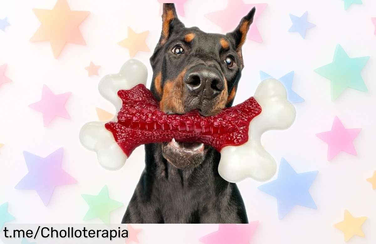 Juguete indestructible de nylon con sabor a carne para perros que aman morder, ¡aprovecha el descuentazo y dale entretenimiento sin límites!