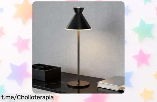 Lámpara de mesa LED DEELUX con diseño moderno y sin cables, ¡aprovéchate del precio rebajado y dale un toque mágico a tu hogar antes que se agote!
