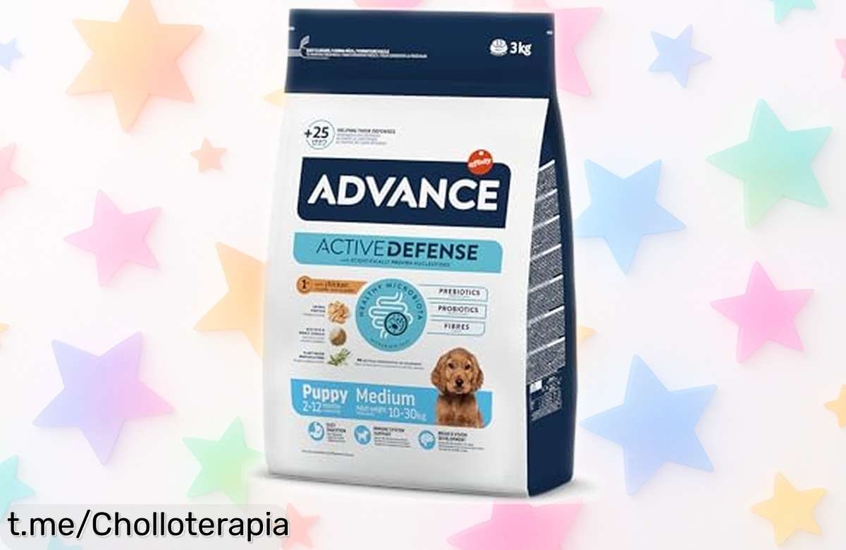 Pienso Advance Medium Puppy con pollo para tu cachorro a precio rebajado: huesos fuertes y cerebro activo que lo harán crecer feliz ¡No dejes pasar esta oportunidad!