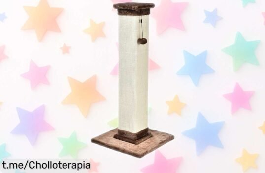 Rascador resistente para gatos de Amazon Basics: ¡super chollo en oferta para cuidar las uñas de tu minino y proteger tus muebles! No esperes más, él te lo agradecerá hoy.